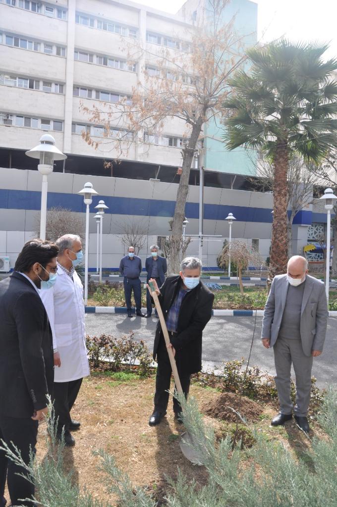 بیمارستان کاشت نهال 3