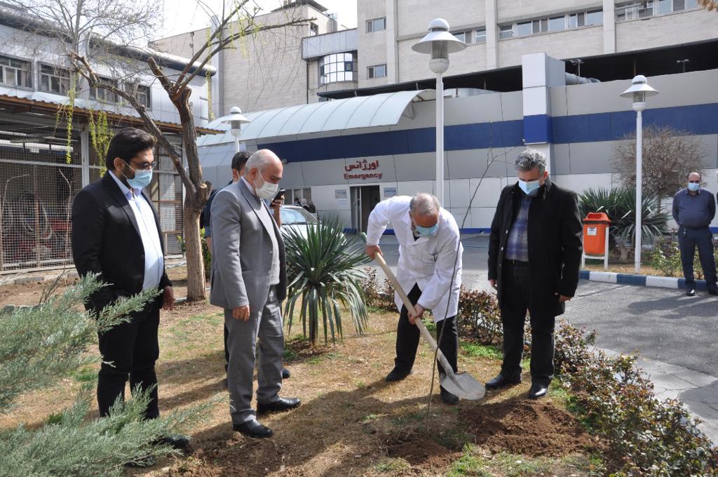 بیمارستان کاشت نهال 4