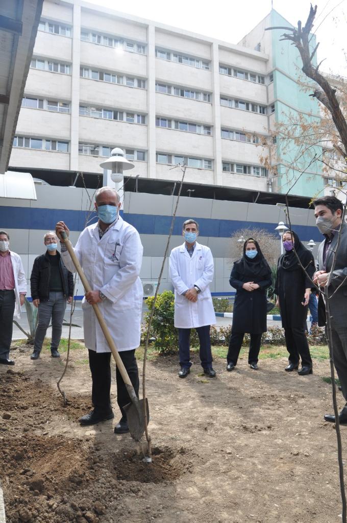 بیمارستان کاشت نهال 6