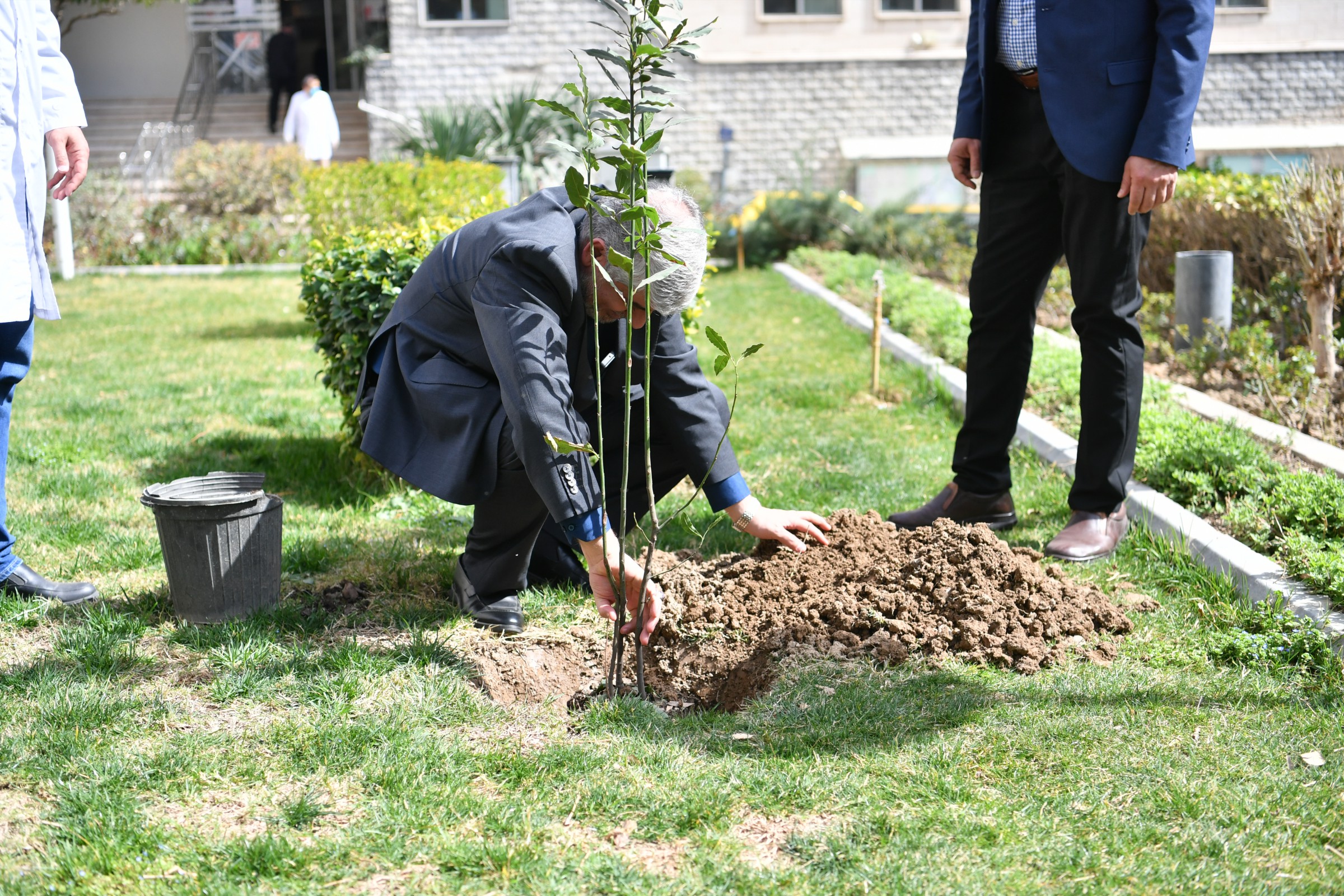 روز درختکاری 3