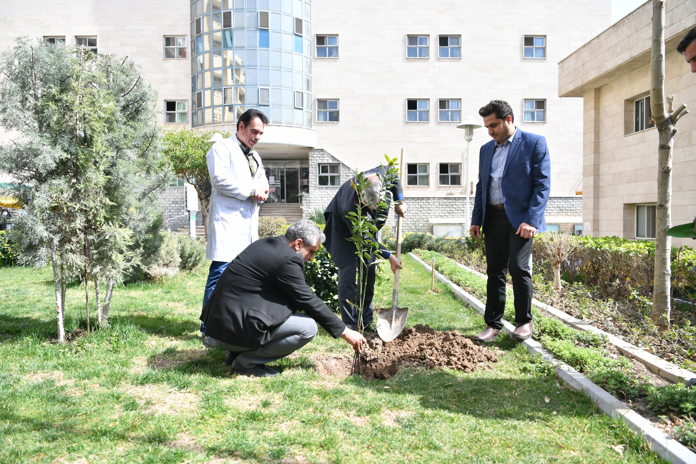 روز درختکاری 4