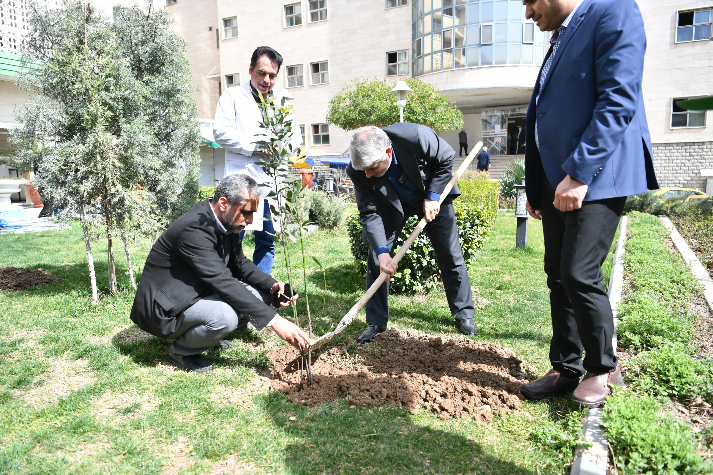 روز درختکاری 7