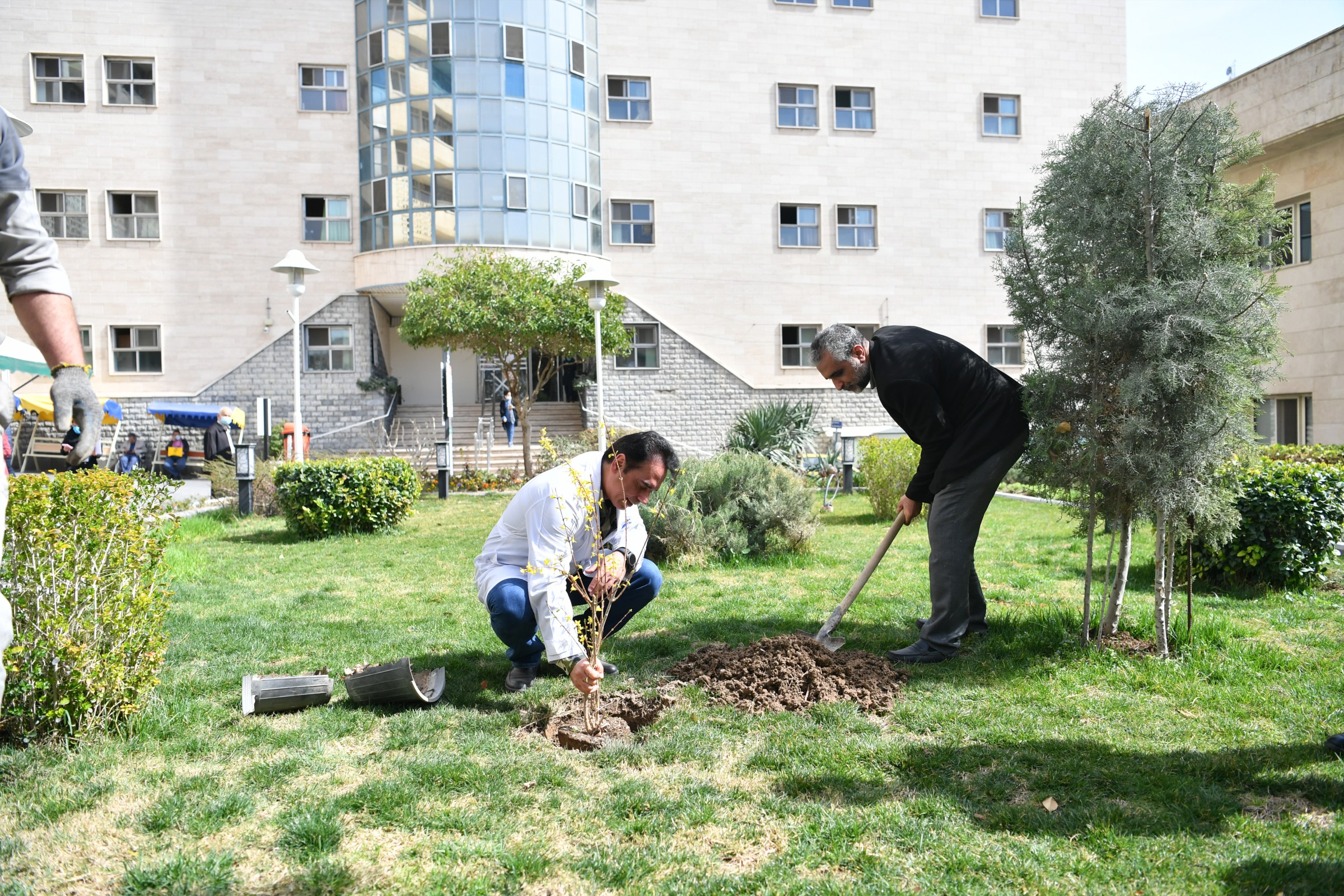 روز درختکاری 8