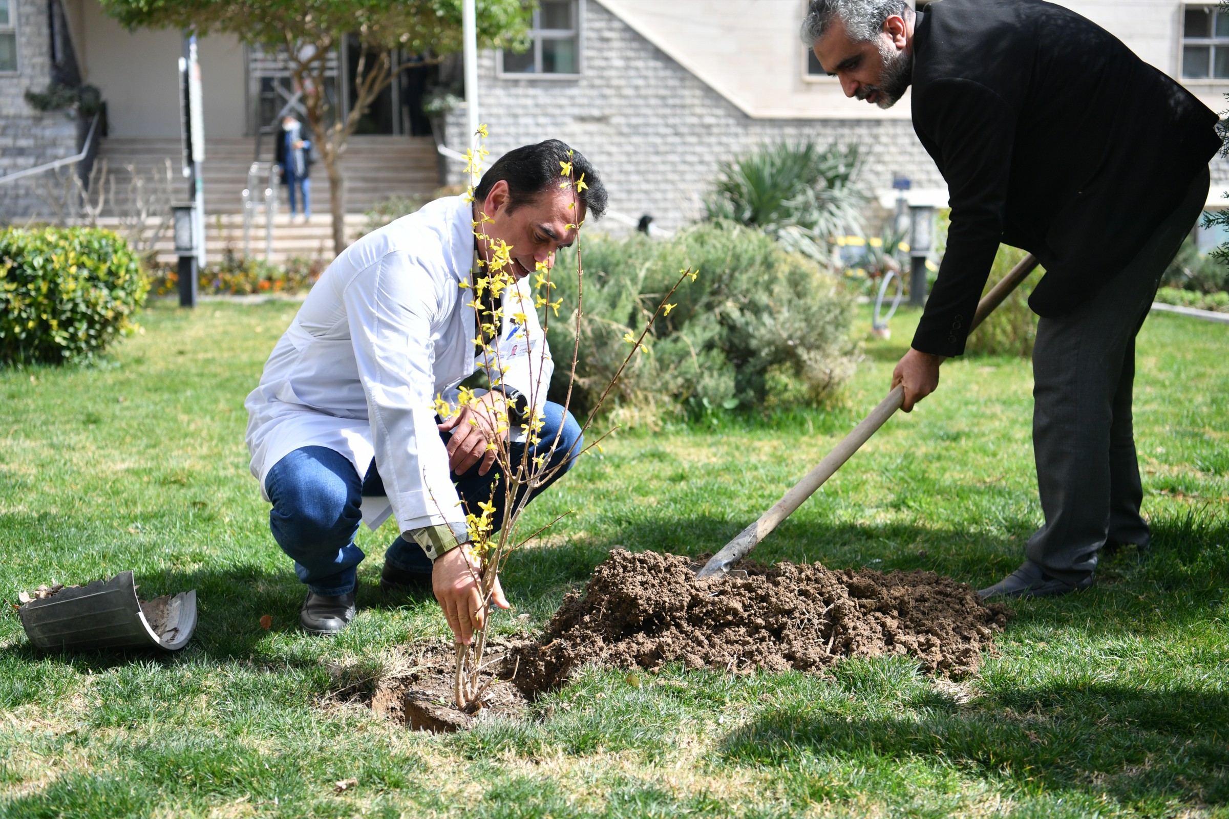 روز درختکاری 9