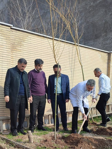 روز درختکاری 4