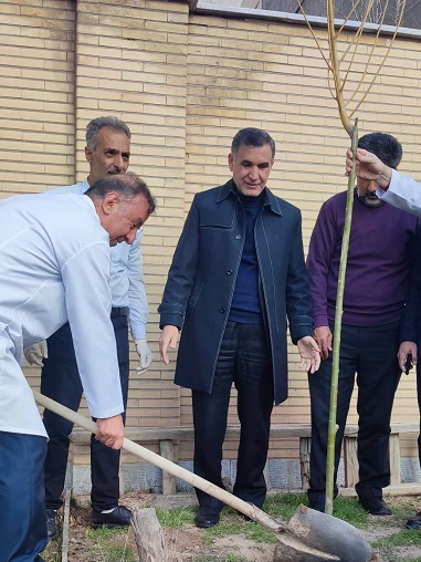 روز درختکاری 7