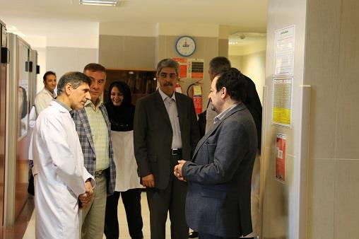 بازدید دکتر دقایقی و همکارانش 38