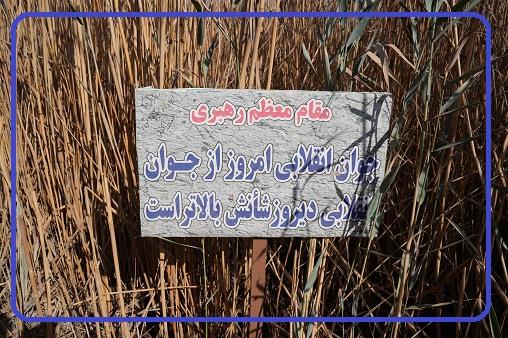 بازدید از منطقه علقمه. آذر 1404 19