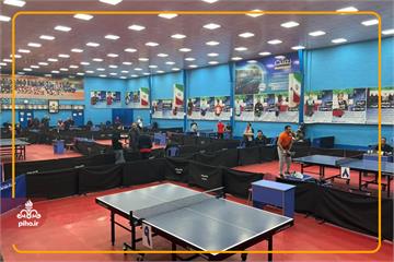 درخشش ورزشکاران سازمان در المپیاد شرکت ملی نفت ایران؛ پیام تبریک مدیر منابع انسانی به قهرمانان