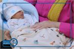 تشریح دستاوردهای گروه مامایی در سال ۱۴۰۴